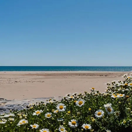 Appartement T2 En Front De Avec Balcon à - Fr-1-409-263 Narbonne